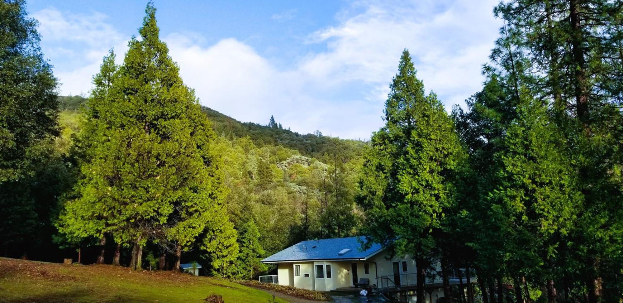 Starlink Yosemite Mountain Retreat