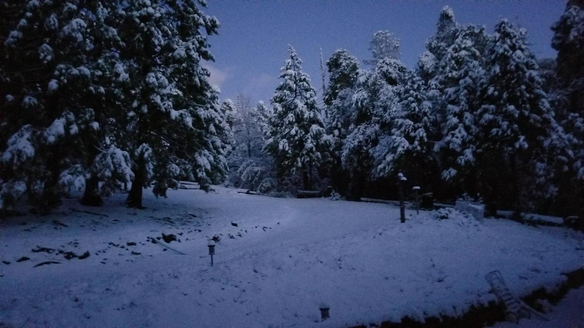 Starlink Yosemite Mountain Retreat Holiday home